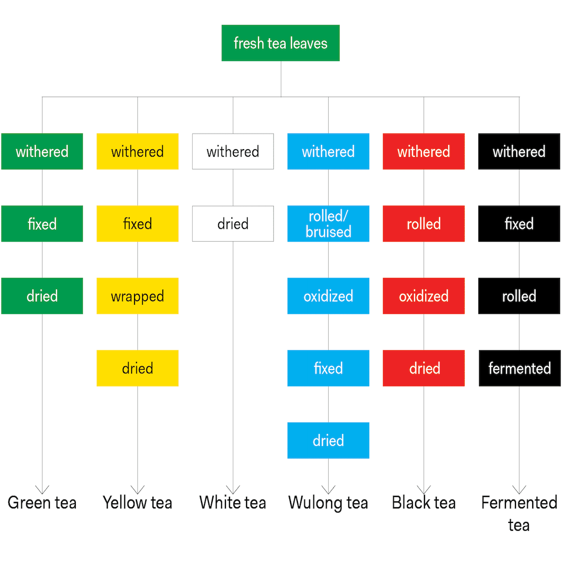 Tea Typology, Explained